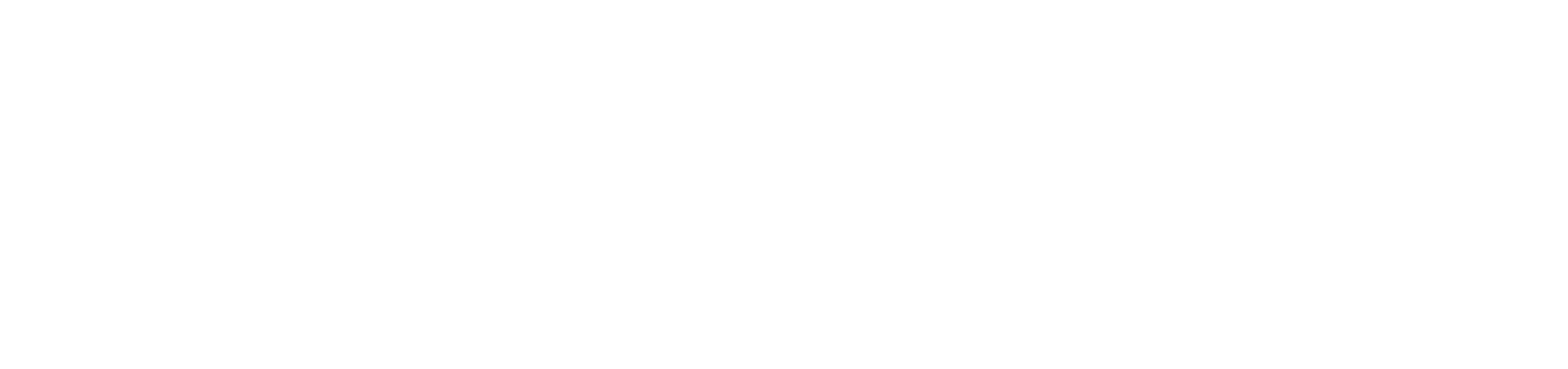 Siametrics Consulting